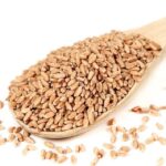 Hard Wheat Grains