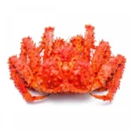 Frozen King Crabs